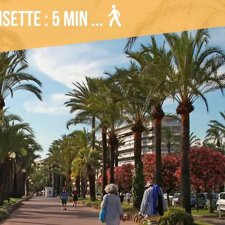 Luxury Studio - Croisette - Modern And Causy Apartment *